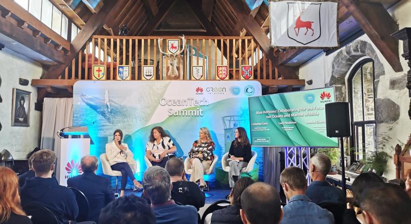 Mesterséges intelligencia és deep learning technológiák alkalmazásával segíti a bálnák megmentését a Huawei
