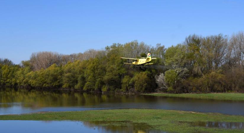 A Tisza-tónál is lezárult a központi szúnyoggyérítés