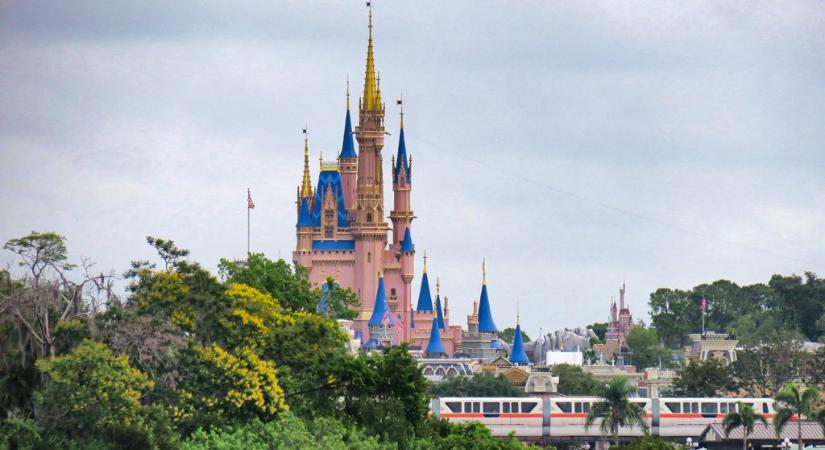 Medve kószált a Disney Worldben