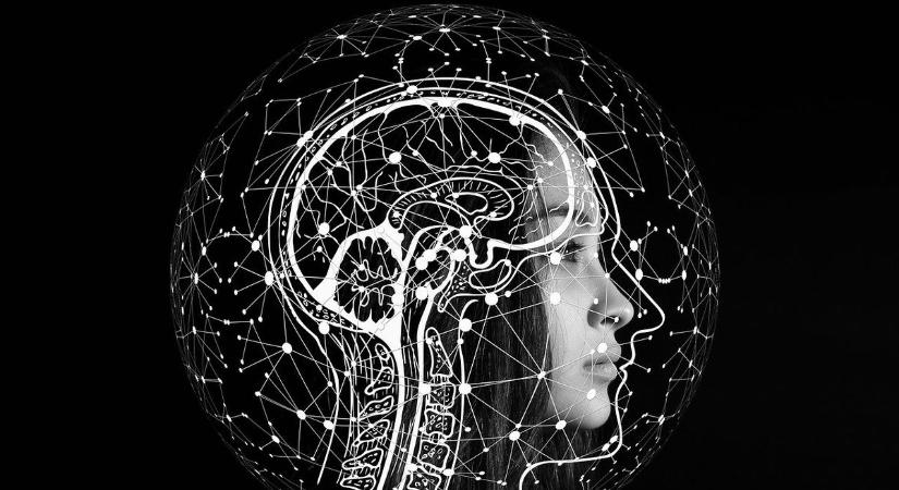 Ebből az egyszerű tesztből kiderül, intelligens vagy-e