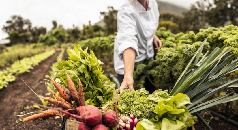 Meglepő dolog derült ki a biotermékekről: ezt sokan nem gondolták volna