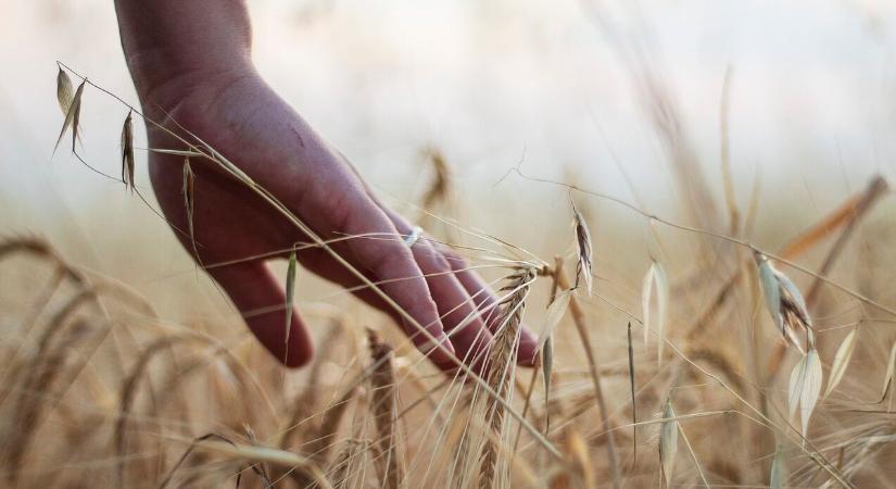 Egy hónap az agrárszakképzés bűvöletében