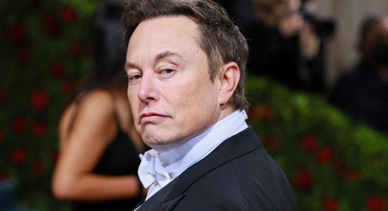 Fizetőssé válhat az X, Elon Musk így harcolna a „botok” ellen