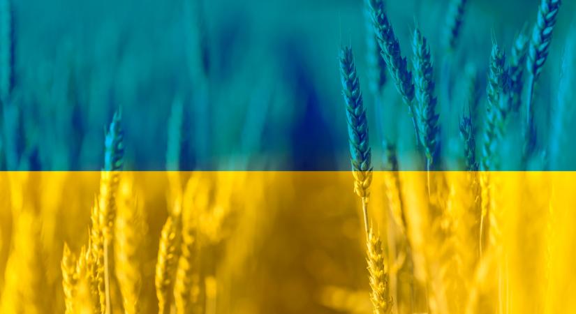 Kemény kijelentést tett a szlovák agrárminiszter az ukrán gabona ügyében
