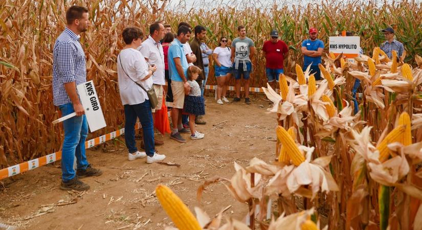 Termésstabilitás biztosításának lehetőségei – KWS Innovation Farm bemutató