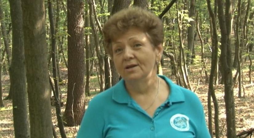 Szembenézett a halállal a Bükkvidéki Geopark igazgatónője a földrengéskor  videó
