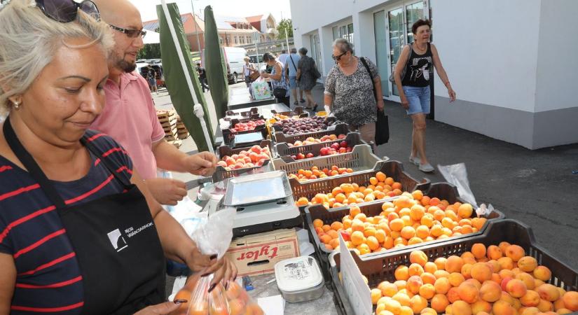 Versekkel dobják fel a piacozók hangulatát a pécsi vásárcsarnokban