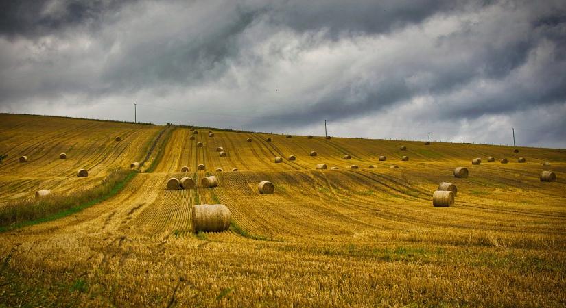 Az importvitában Varsó a segítségére emlékezteti Kijevet