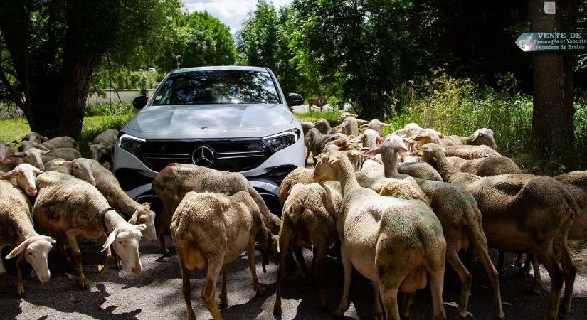 Szárnyal az elektromos autók értékesítése Európában