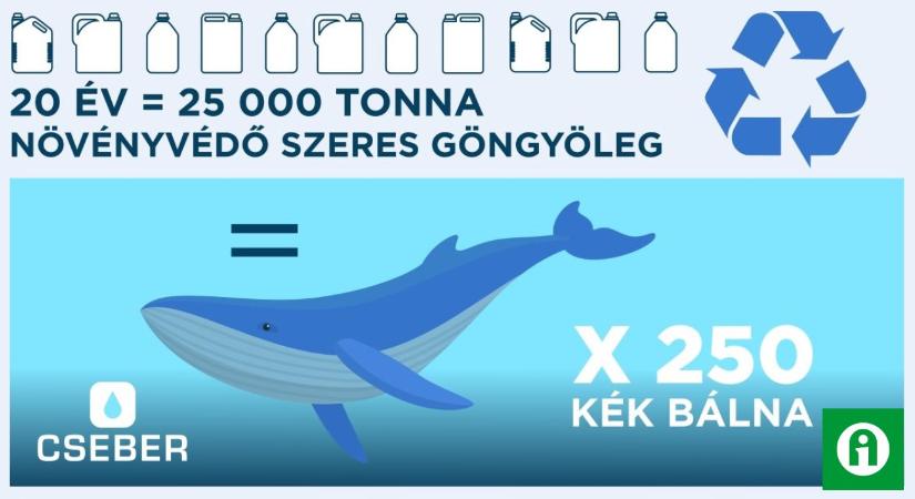 20 év, 25 000 tonna, 250 kék bálna