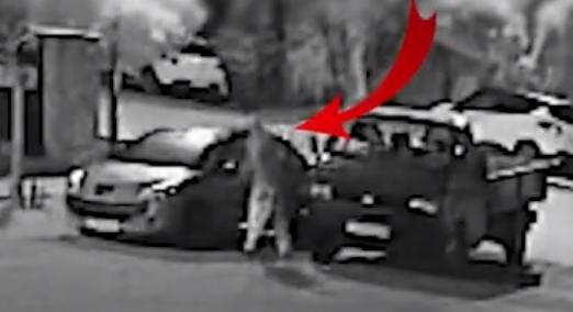 Teherautóval ment autókat verni, az egyikről felvétel is készült - videó