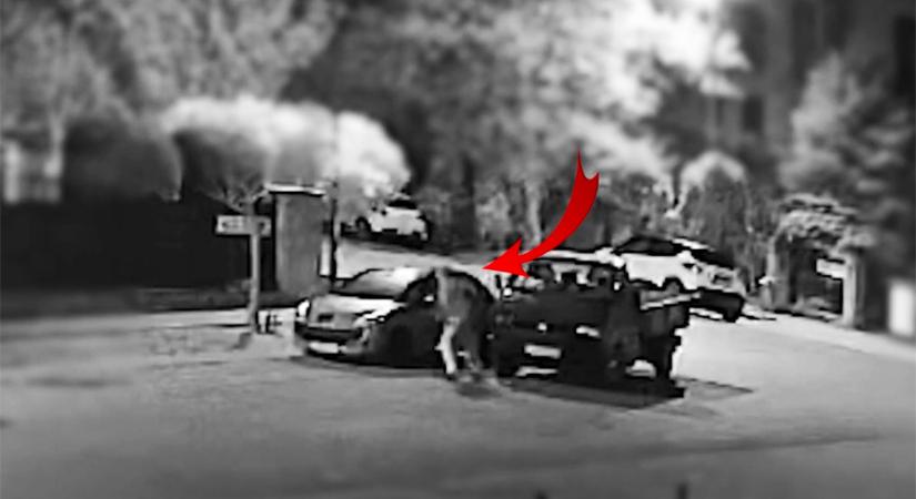 VIDEÓ: Kijött a börtönből, majd nekiállt autókat feltörni és lopni, valamint egy óra szaküzletet is kifosztott