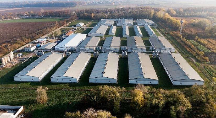 Európai szinten is az élmezőnybe tartozó állattenyésztő központot adtak át Békéscsabán