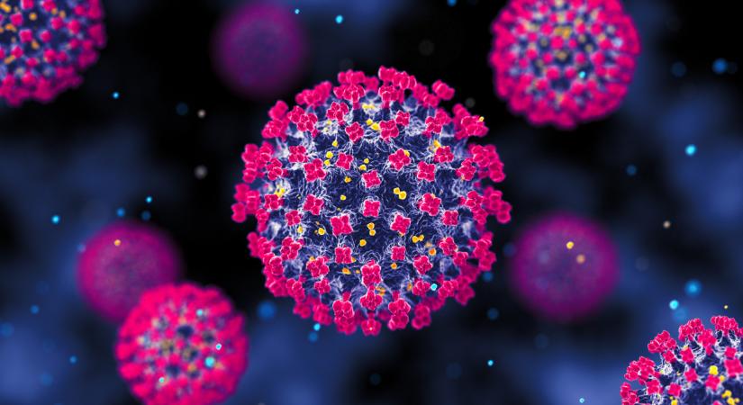Mi a Nipah-vírus? A fertőzés jellege, tünetei, kezelése, terjedése