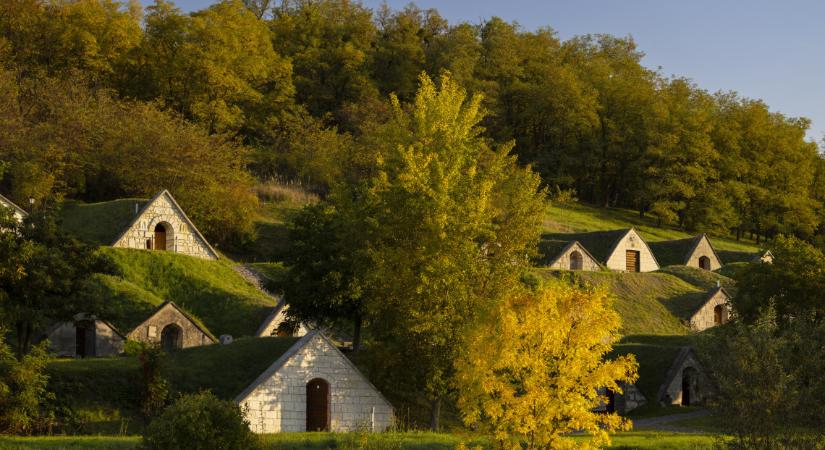 Befellegzett a tokaji aszúnak? Ezért a különleges nedűért őrül meg most rengeteg magyar
