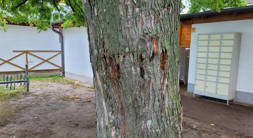 Újabb merénylet Csopakon – megszólal a polgármester