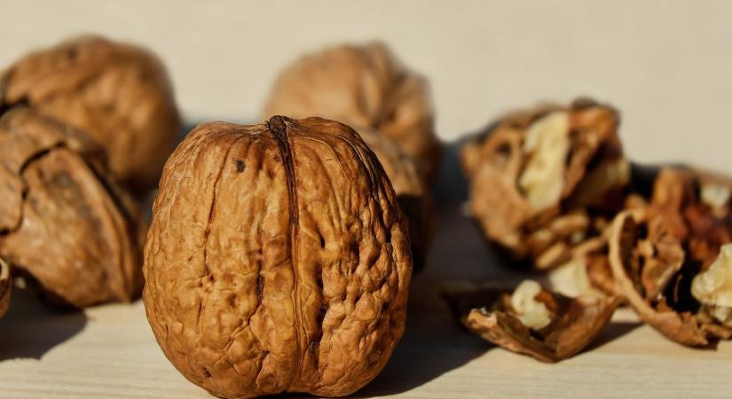 Az egész agrárium bajban van az ukránok miatt, most már a diótermelők is