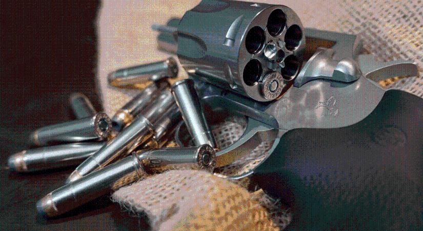 Kivégezték a négytagú családot és három kutyájukat
