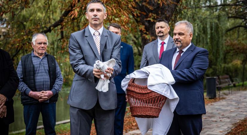 Fehér galamb szállt fel a békéért Békéscsabán - videóval