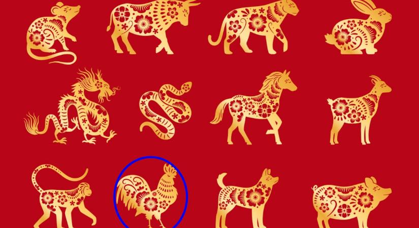 Kínai horoszkóp: a Kakas októbere