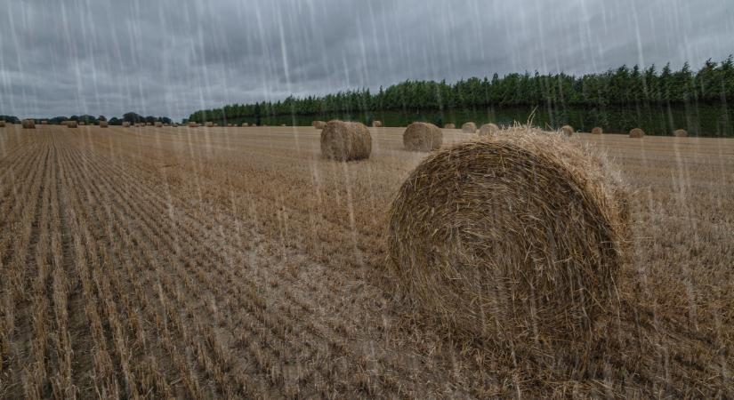 Itt a friss előrejelzés: jönnek az újabb esők, erre jó, ha minden gazda felkészül
