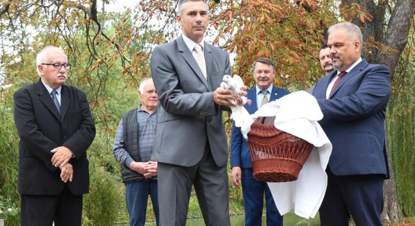 Ha ettől nem lesz béke, akkor semmitől: a fideszes Szegedi Balázs eleresztett egy galambot