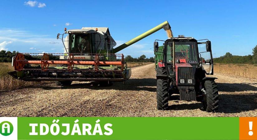 Időjárás: Ami most jön, nagy hatással lesz a repce fejlődésére