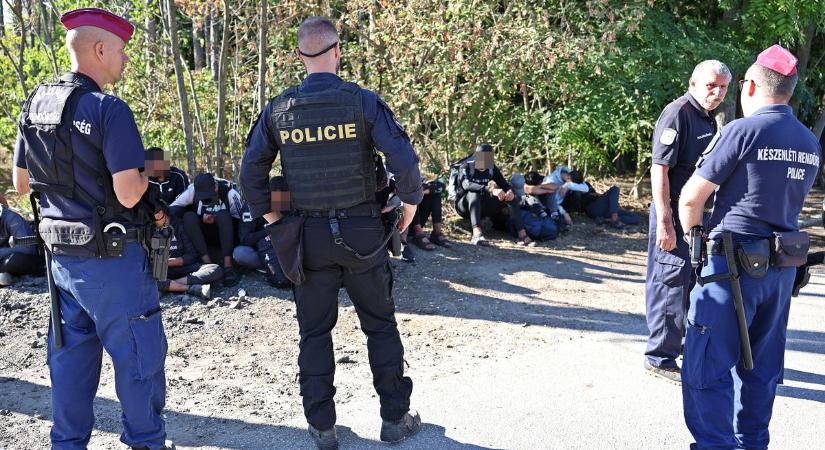 Rengeteg az embercsempészek által hátrahagyott autó a déli határ közelében – galériával