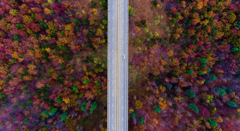 Erdei kalandok – Ezért sem mindegy, milyen abroncsot teszünk az elektromos járművekre