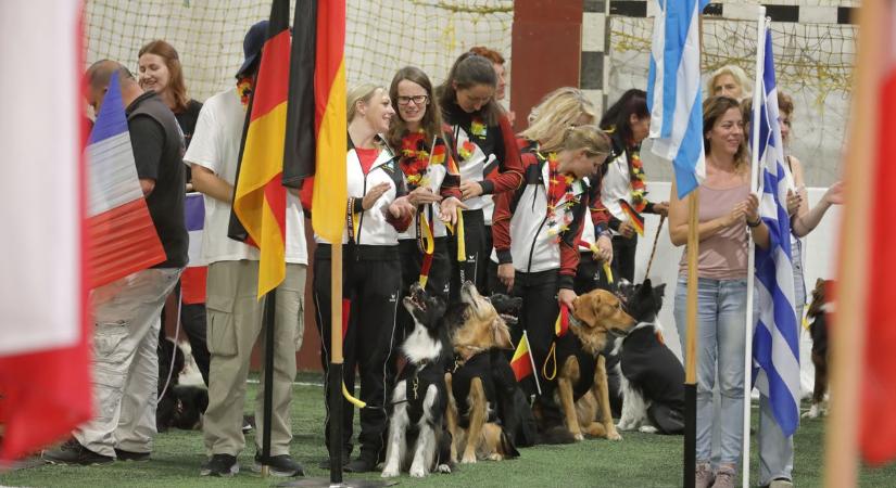 Fehérváron zajlik a Dog Dancing Európa-bajnokság (galéria)