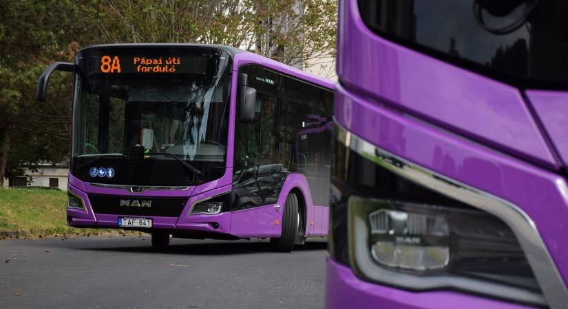 Ingyenesen buszozhatunk