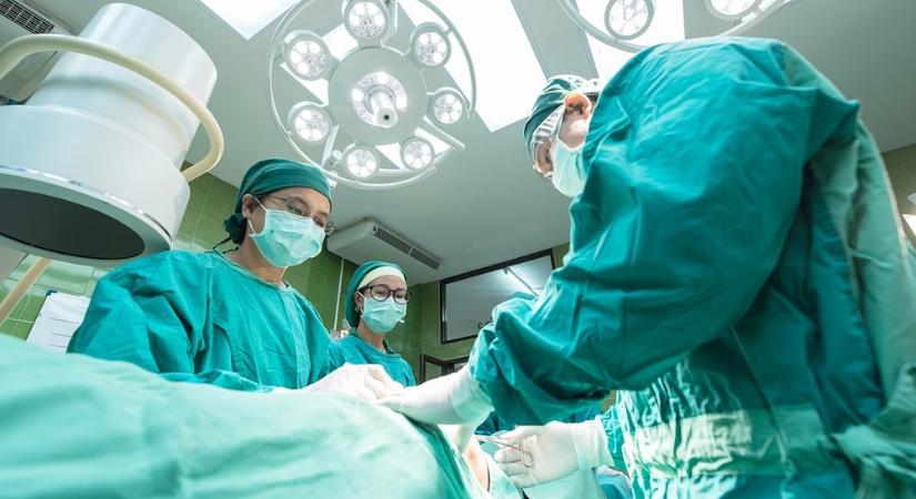 Remény a donorra váróknak: először sikerült életfenntartó működésre bírni disznóveséket emberben