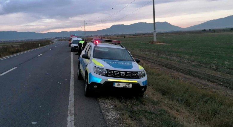 Elgázoltak egy medvét Csíkszentmárton és Kozmás között