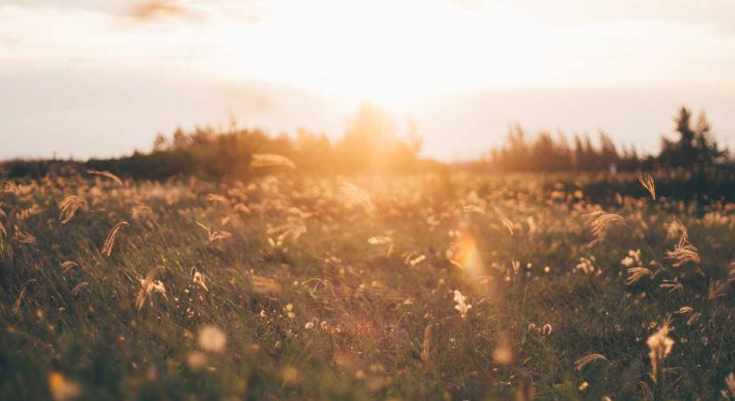 30 Celsius-fokot meghaladó meleg lesz hétvégén