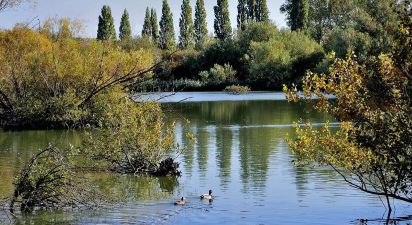 Péntekre így alakult a Duna és a Tisza vízállása