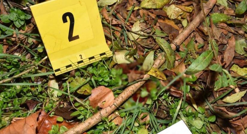 Kövekkel dobált, majd félholtra vert brahiból egy hajléktalant egy 13 és egy 16 éves fiatal, egyikük még videót is készített