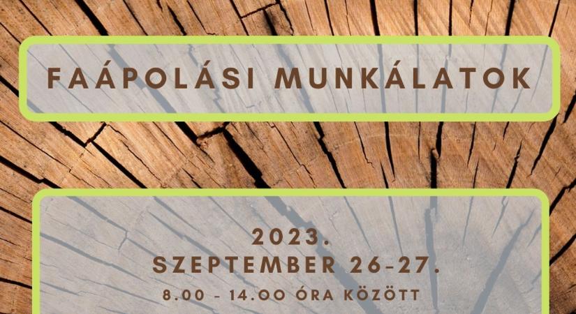 Faápolási munkálatok Nyíregyházán