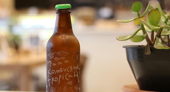 Sugárzóan jó hír: megjött az eredménye a nagy kombucha-kísérletnek a Nemzetközi Űrállomásról