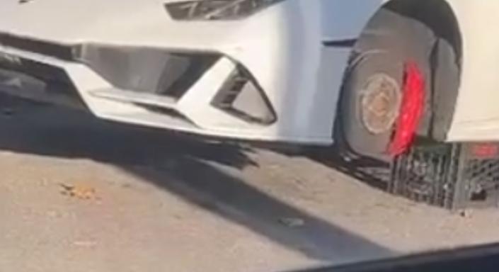 Tejes rekeszek rekesztettek meg egy remek szerkezetet