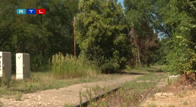 Teljes vágányzár jön a győri vasútvonalon