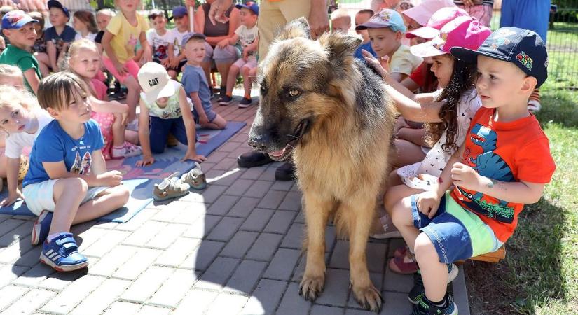Jól állunk a bölcsődei férőhelyek számát illetően, mégis a legtöbb magyar szülő otthon neveli a kisgyermekét