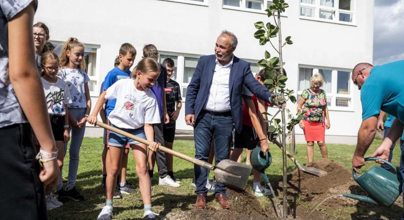 Megkezdődött a településfásítási program őszi ültetése