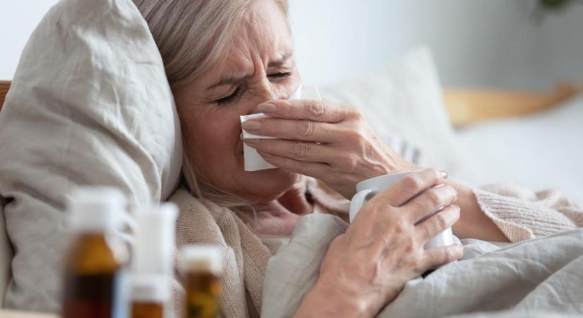 Sajog a fejem, tüsszögök, mindenem fáj! Mutatjuk, hogyan döntheted el, hogy nátha, vagy influenza