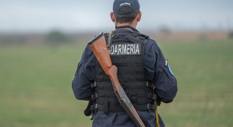 Egy medvét elszállítottak, de még sok maradt a település közelében
