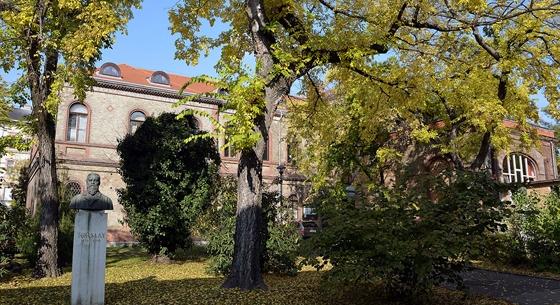 Szobrot avatnak Marci cicának az Állatorvostudományi Egyetemen