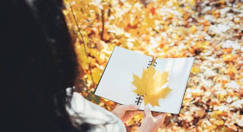 Őszi programajánló a tökfesztiváltól a szarvasbőgésig