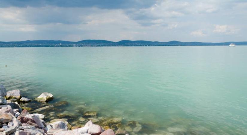 Gombamódra terjed a Balatonban ez az invazív faj: különleges tulajdonságát fedezték fel