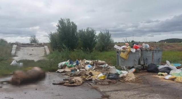 Felismerhetetlen állattetemek a szemétkupacon, Kunhegyesen – van, akit felháborít a gyűjtőhely és fertőzéstől tart