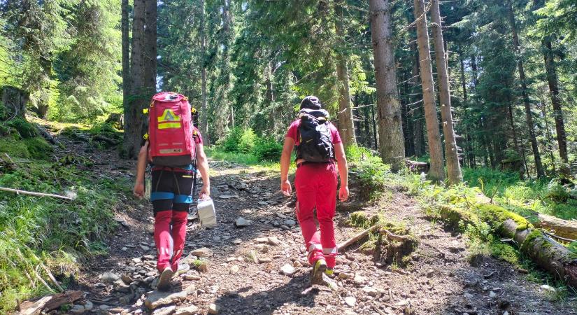Bölények elől menekülő turisták kértek segítséget a máramarosi hegyimentőktől