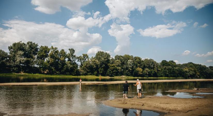Visszakéri a Tisza a csongrádi fövenyt, már nem sokáig lehet itt strandolni